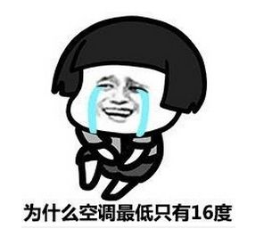 我要冷才能静蘑菇头是什么梗 我要冷才能静热到疯癫是什么意思