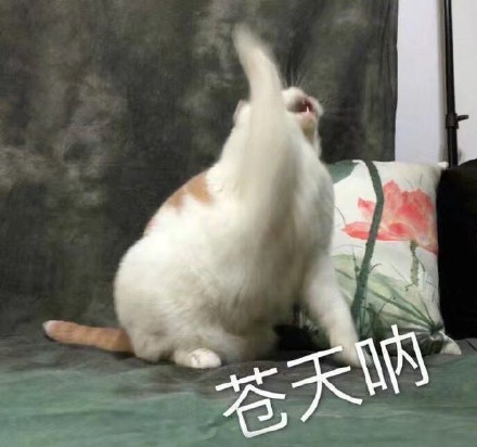 vdisk是什么盘 Vdisk是什么东西
