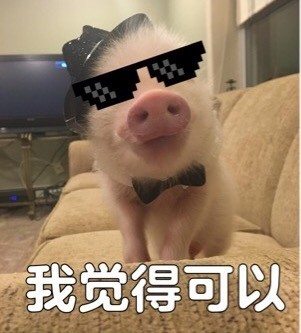 中国有嘻哈我觉得不行表情包 我觉得不行我觉得ok是什么梗