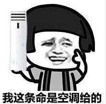 我的命是这冰块给的是什么梗 我的命是这冰块给的表情包