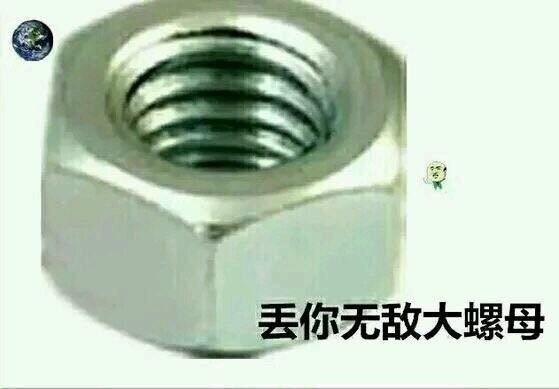 丢你螺母是什么意思 丢你螺母表情包