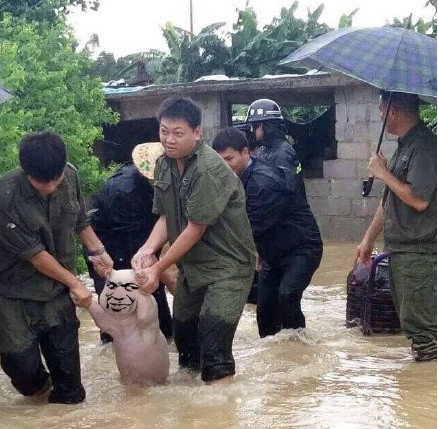 网红小猪图片大全 网红小猪表情包大全