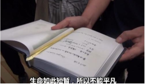 章莹颖日记内容图片 章莹颖日记写了什么内容