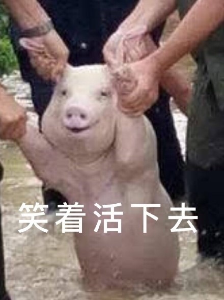 190是什么意思 一加九加零什么意思污