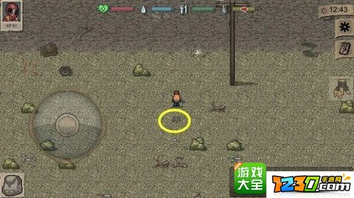 迷你dayz种植 迷你dayz怎么种植食物