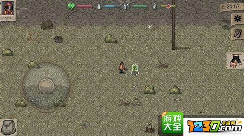 迷你dayz种植 迷你dayz怎么种植食物