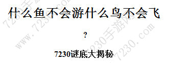 什么壶没有盖猜六个字连成一句温馨的话 什么鱼不会游什么鸟不会飞猜六个字连成一句温馨的话