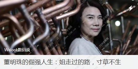 姐走过的路寸草不生是什么梗 姐走过的路寸草不生什么意思