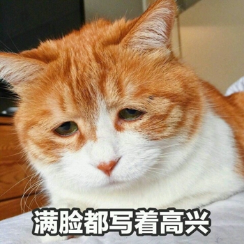 橘猫带字表情包大全 橘猫不开心表情包图片