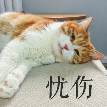 橘猫带字表情包大全 橘猫不开心表情包图片