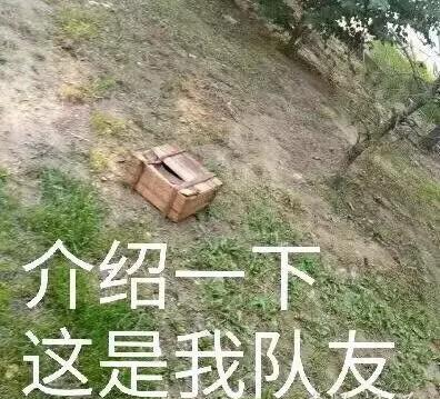 介绍一下这是我队友是什么梗 介绍一下这是我队友是什么意思