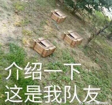 介绍一下这是我队友是什么梗 介绍一下这是我队友是什么意思
