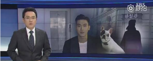 崔始源爱犬咬人事件始末 崔始源爱犬咬死人​是真的么