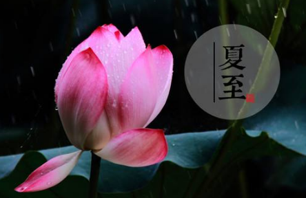 你知道有个节气叫夏至是什么意思 你知道有个节气叫夏至是什么梗