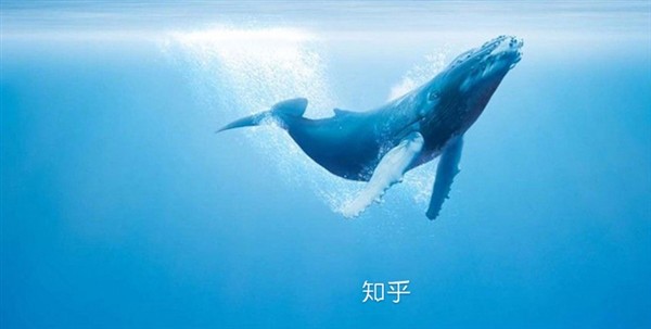 知乎知卡怎么申请 申请方法介绍