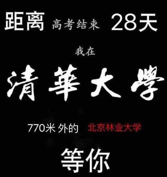 招生体是什么意思？招生体表情包一览
