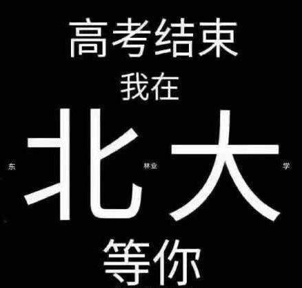 招生体是什么意思？招生体表情包一览