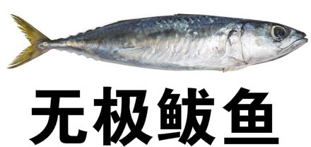无极鲅鱼是什么意思 是什么梗