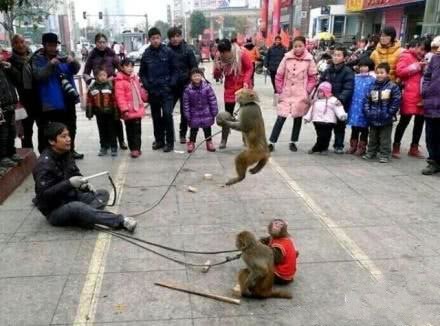 小米8探索版透明后壳里面是贴纸吗
