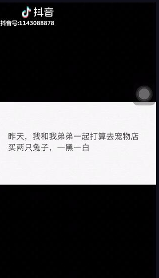 抖音兔子一黑一白是什么梗 抖音兔子一黑一白是什么意思