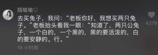 抖音兔子一黑一白是什么梗 抖音兔子一黑一白是什么意思