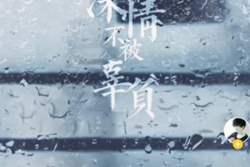 bi视频桌面动态壁纸