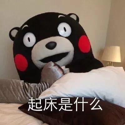 抖音表情包:起床是什么