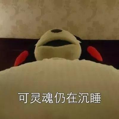 抖音表情包:起床是什么