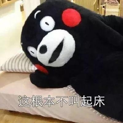 抖音表情包:起床是什么