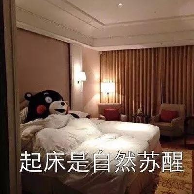 抖音表情包:起床是什么