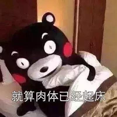 抖音表情包:起床是什么