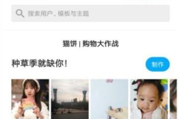 猫饼图