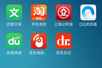 花生日记图