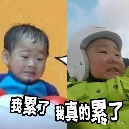 宋民国表情包gif微信下载 宋民国表情包动图大全