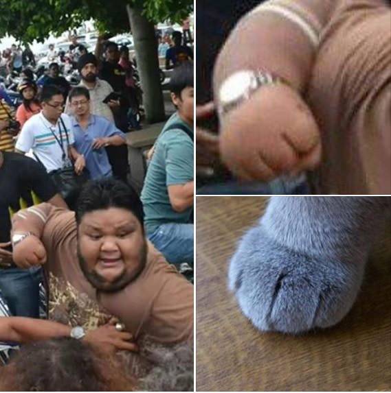 笑昏古七是什么什么梗 笑昏古七是什么意思