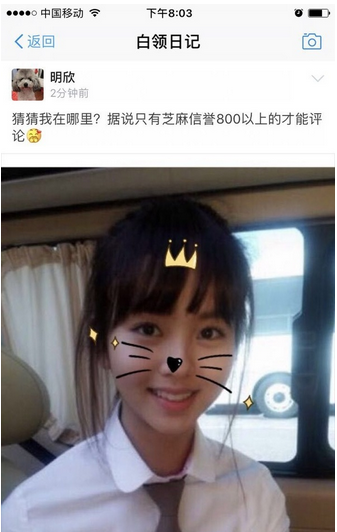 支付宝圈子在哪里打开 支付宝圈子怎么回事 支付宝圈子在哪?
