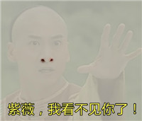 雾霾表情包大全 还珠格格恶搞雾霾表情包完整版