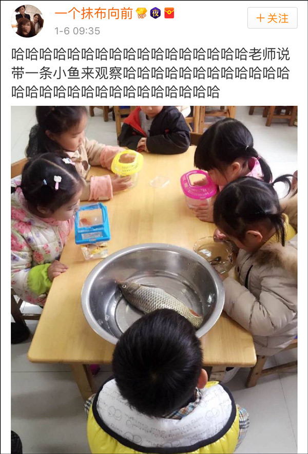 一条小鱼