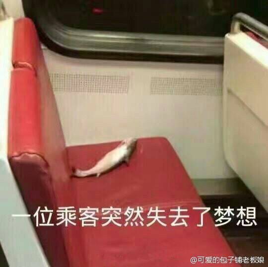 上一次感受到相同的“绝望”,还是这个小朋友带来的: