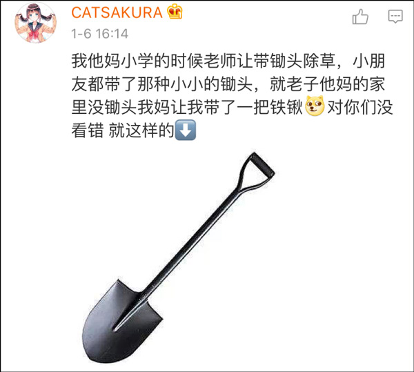 “老师说带一条小鱼来观察”爆笑趣图走红 网友纷纷晒出辛酸往事