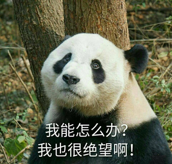 本文系观察者网独家稿件,文章内容纯属作者个人观点,不代表平台观点,未经授权,不得转载,否则将追究法律责任。关注观察者网微信guanchacn,每日阅读趣味文章。