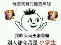 王者荣耀斗图表情包 王者荣耀小乔纯白花嫁表情包