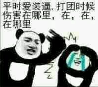 王者荣耀斗图表情包 王者荣耀小乔纯白花嫁表情包