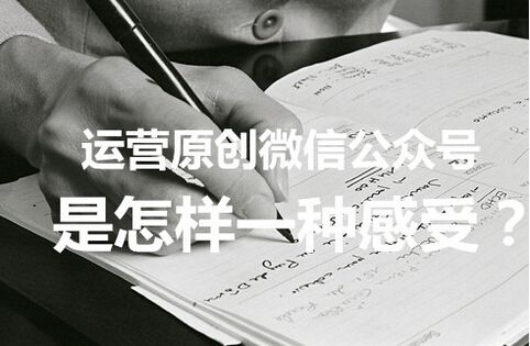 微信公众号原创收入增加了吗 微信公众号原创收入增加了多少