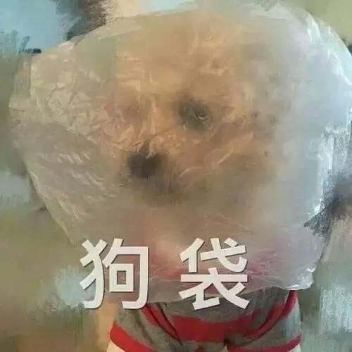 段子稀有金属什么意思 段子里面稀有金属什么意思