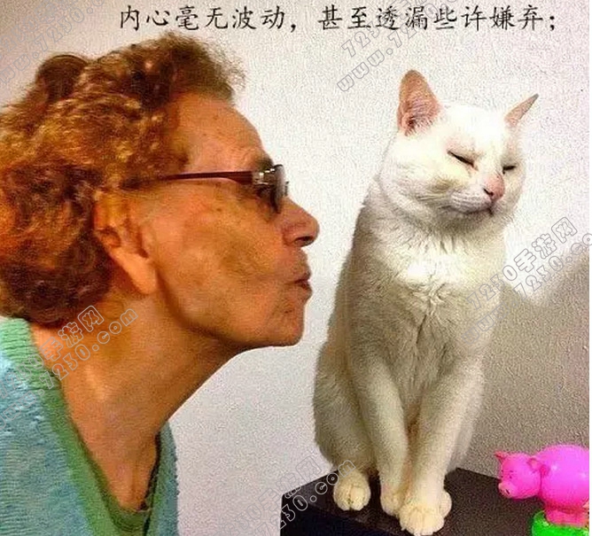 猫听到刮梳子的声音会吐是为什么 为什么猫听到梳子的声音会吐