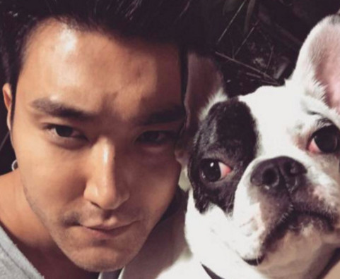 崔始源爱犬咬人事件始末 崔始源爱犬咬死人​是真的么