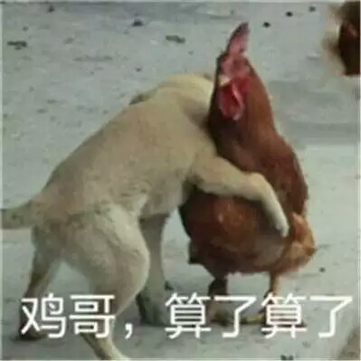 安相机是什么意思 安相机是什么梗