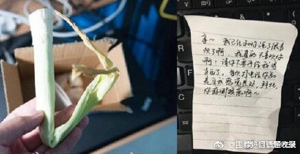 一葱一蒜是什么意思 一葱一蒜是什么梗