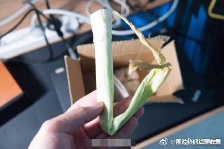 一葱一蒜是什么意思 一葱一蒜是什么梗